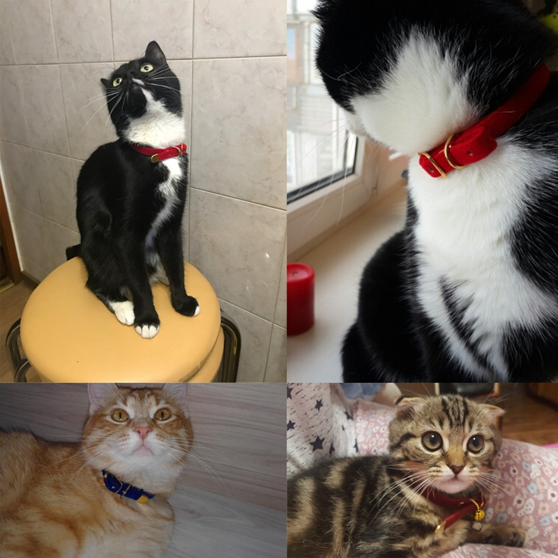 Breakaway Safety Cat Collar - Stylish & Adjustable